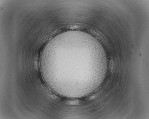 X0000085070510200704021414