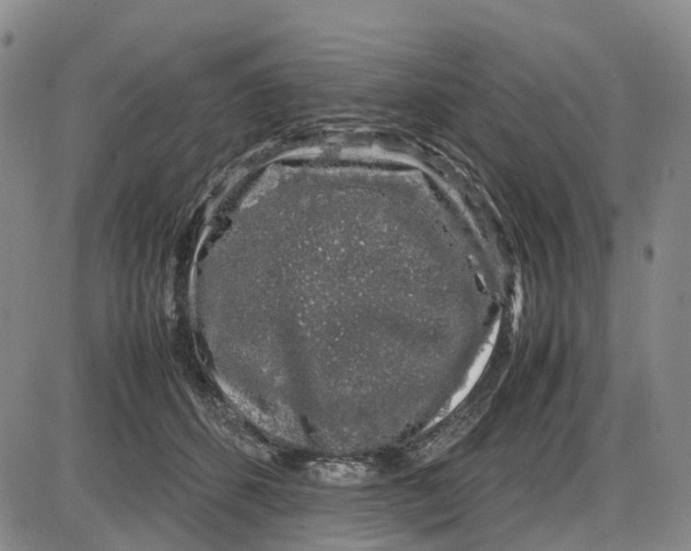 X0000085070512200704021414