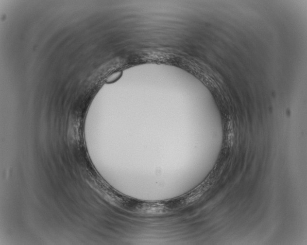 X0000085070514200704021414