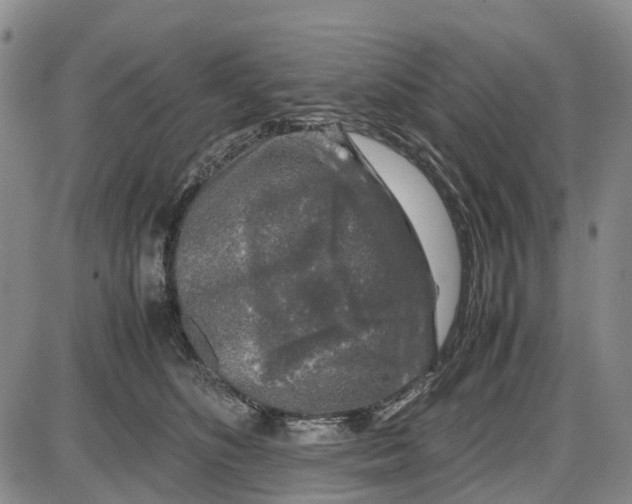 X0000085070516200704021414