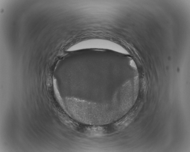 X0000085070517200704021414