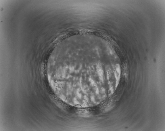 X0000085070519200704021414