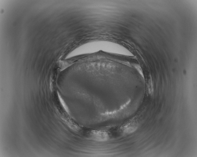 X0000085070520200704021414