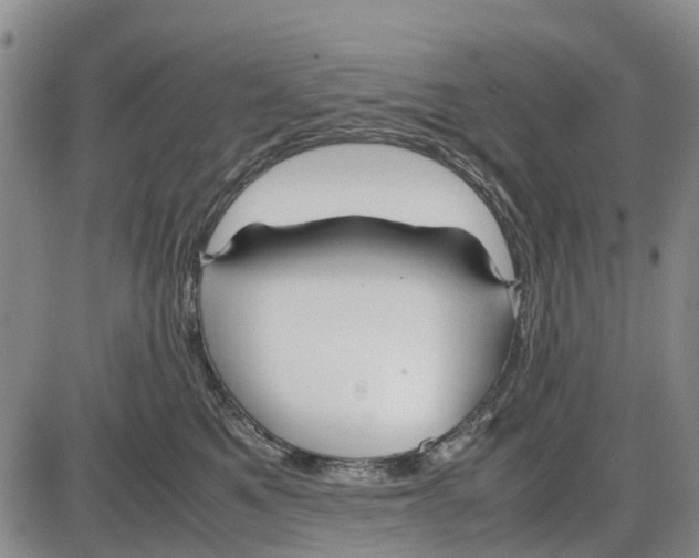 X0000085070521200704021414