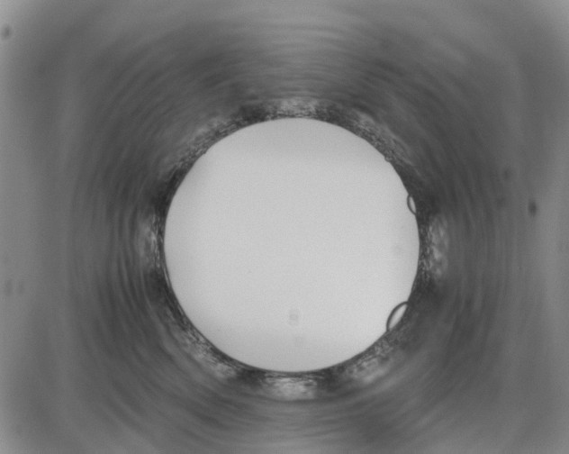 X0000085070522200704021414