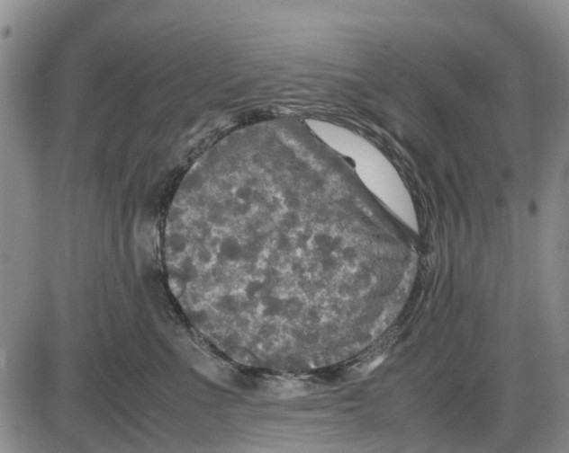 X0000085070523200704021414