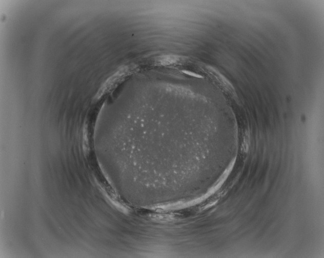 X0000085070524200704021414