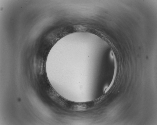 X0000085070525200704021414