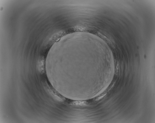 X0000085070526200704021414