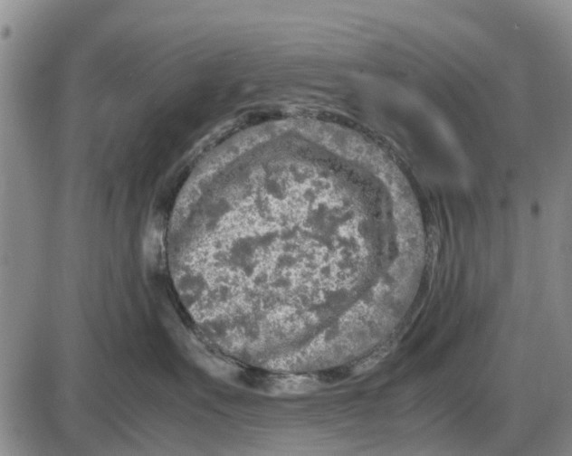 X0000085070527200704021414