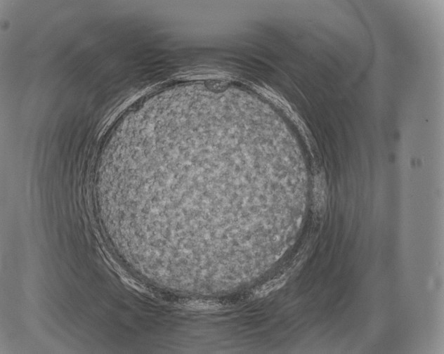 X0000085070529200704021413