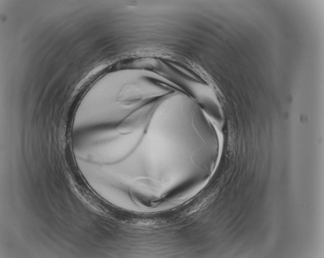 X0000085070530200704021413