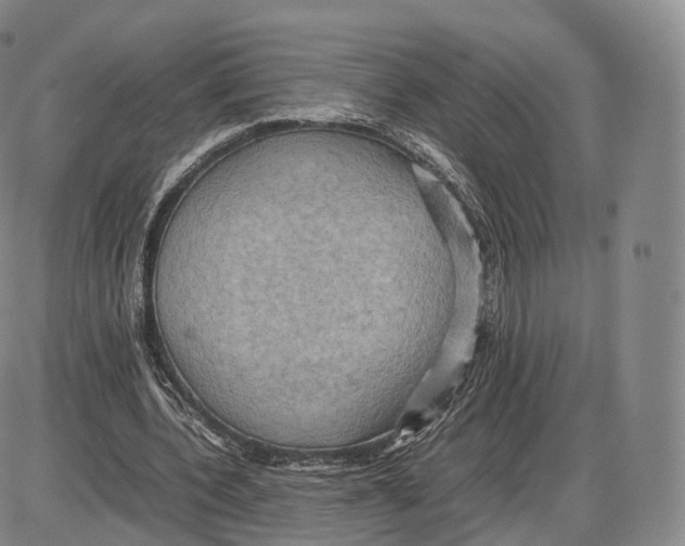 X0000085070532200704021413