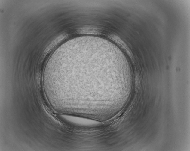 X0000085070533200704021413