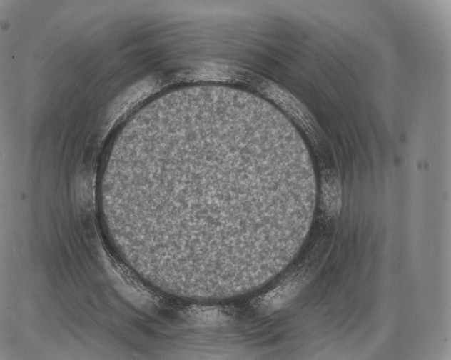 X0000085070534200704021413