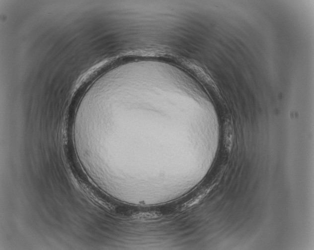 X0000085070536200704021413