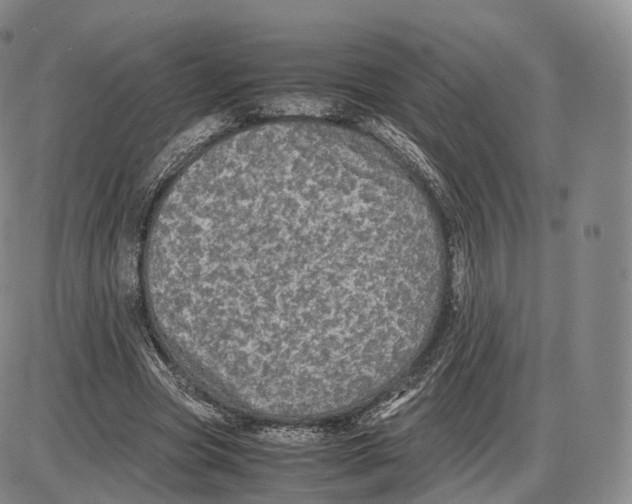 X0000085070537200704021413