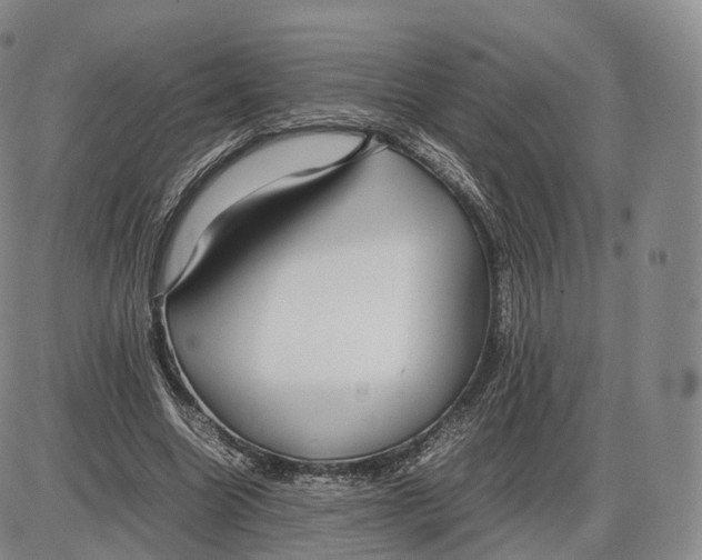 X0000085070538200704021413