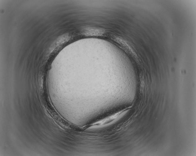 X0000085070539200704021413