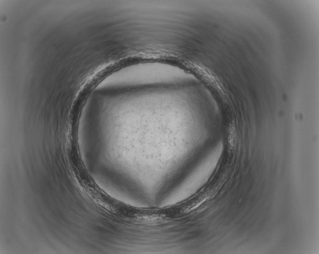 X0000085070540200704021413