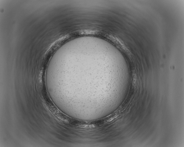 X0000085070543200704021413