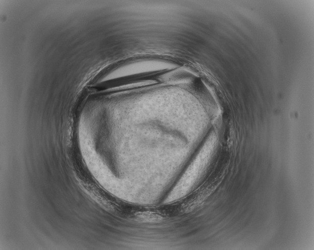 X0000085070544200704021413