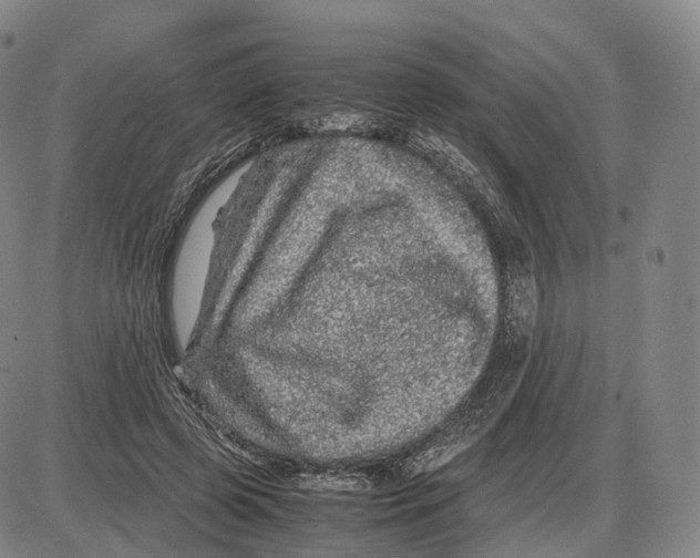 X0000085070545200704021413