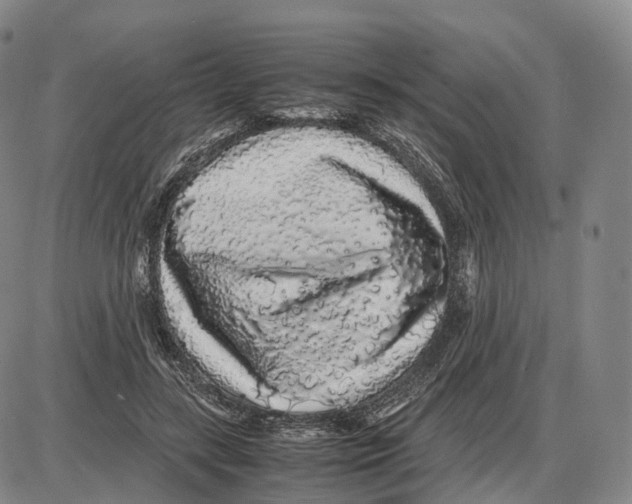 X0000085070547200704021413