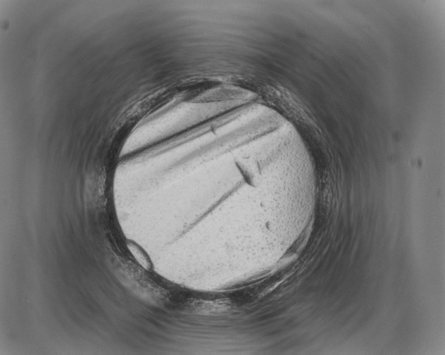 X0000085070548200704021413