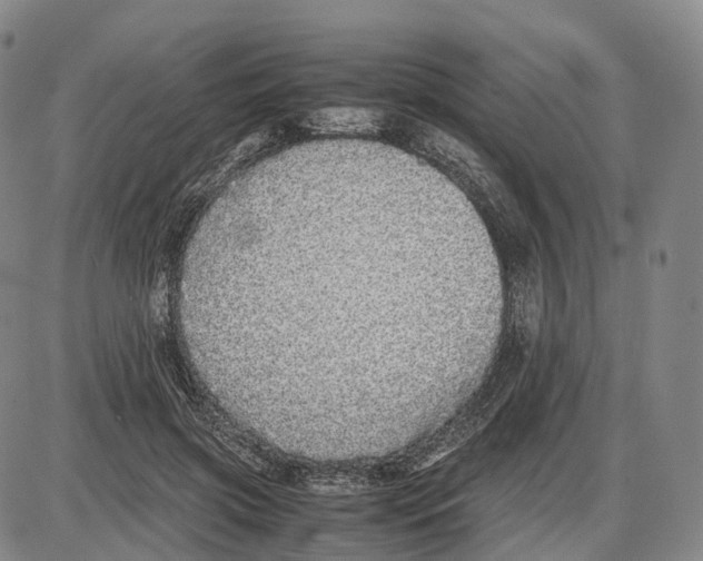 X0000085070549200704021413