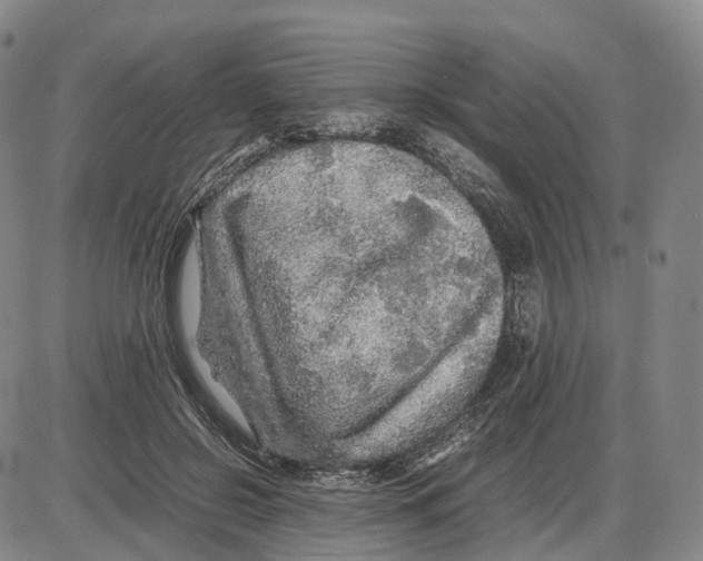 X0000085070550200704021413