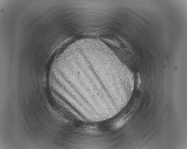 X0000085070552200704021414