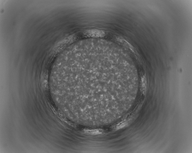 X0000085070553200704021414