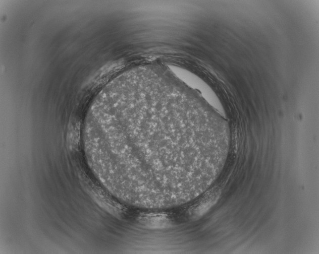 X0000085070554200704021414