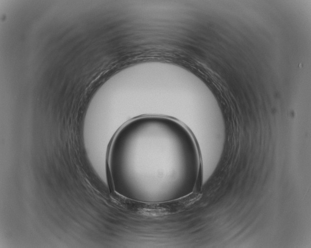 X0000085070556200704021414