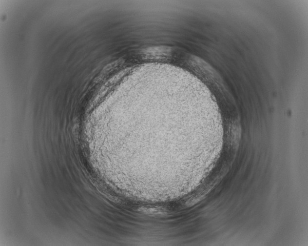 X0000085070557200704021414