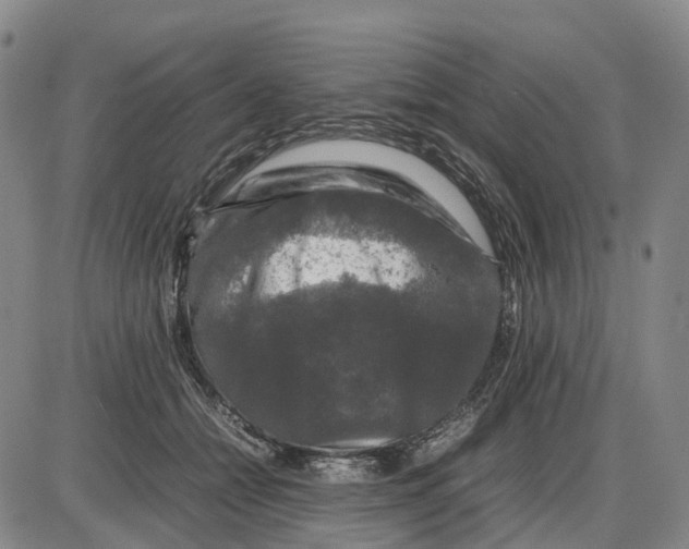 X0000085070558200704021414