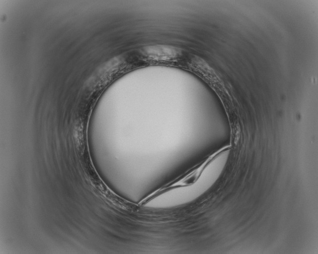 X0000085070559200704021414