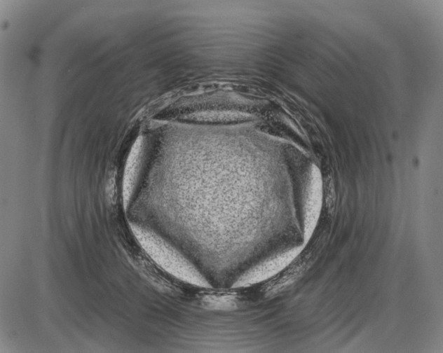 X0000085070560200704021414