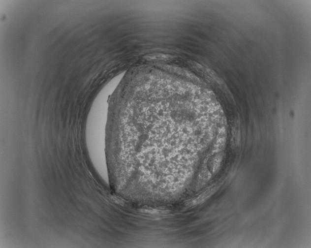 X0000085070561200704021414