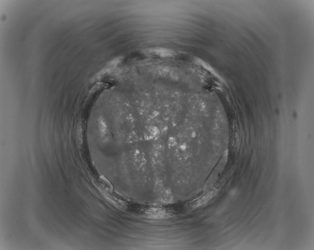 X0000085070562200704021414