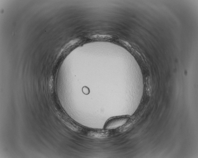 X0000085070563200704021414