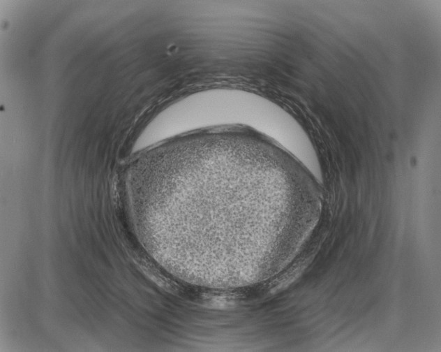 X0000085070564200704021414