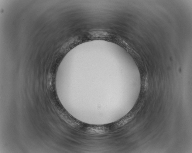 X0000085070567200704021414