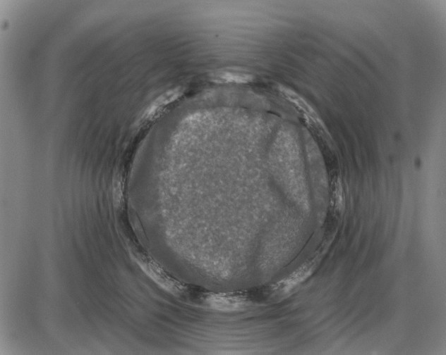 X0000085070568200704021414