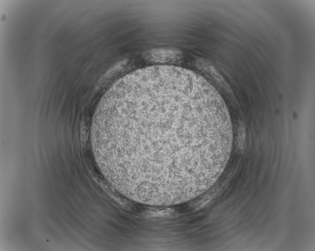 X0000085070569200704021414