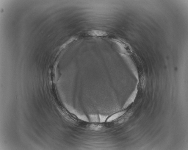 X0000085070570200704021414