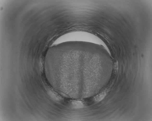 X0000085070572200704021414