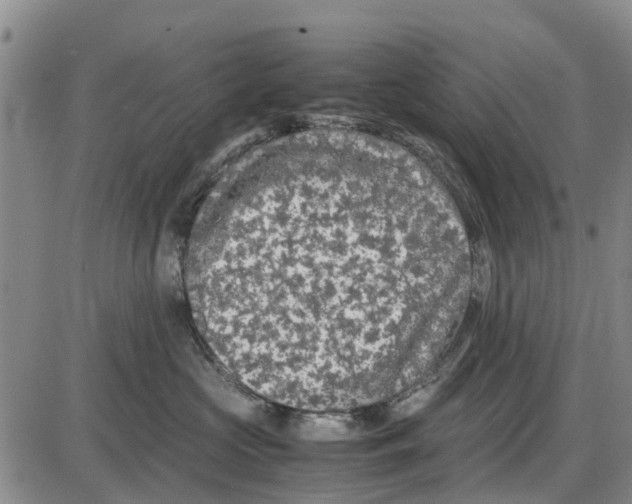 X0000085070573200704021414