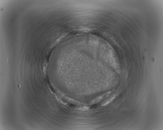 X0000085070576200704021414